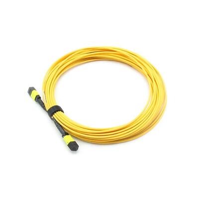 Kabel Trunk MTP-MTP 24F Kecepatan Tinggi Untuk Menghubungkan Kaset, Panel