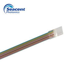 ROHS Serat Optik Array 12 CH V-Groove Untuk Fa Fiber Array PLC Splitter